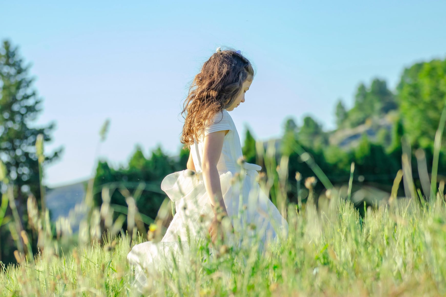 Blue Ridge Mountain Vacation Rentals